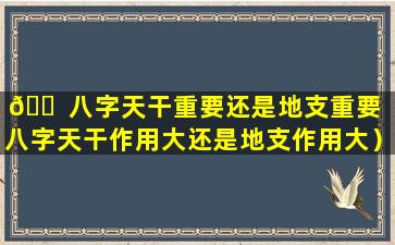 🐠 八字天干重要还是地支重要（八字天干作用大还是地支作用大）